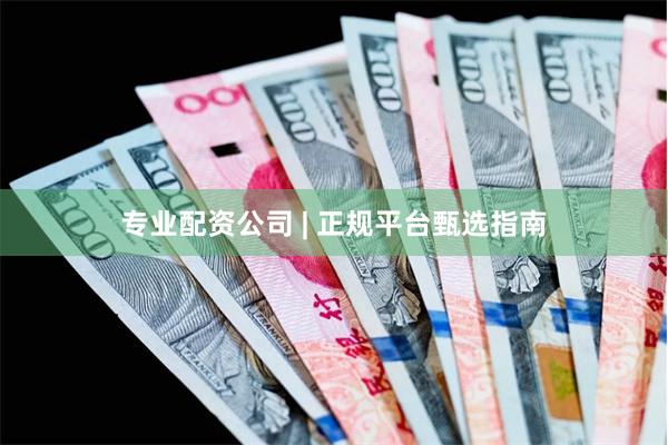 专业配资公司 | 正规平台甄选指南